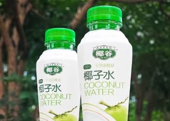 逾越周期的大爆品，椰谷开启100%椰子水品质新时代