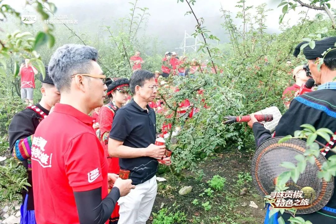 从丁点儿这场贡椒溯源之旅，看到了不起的中国产业链