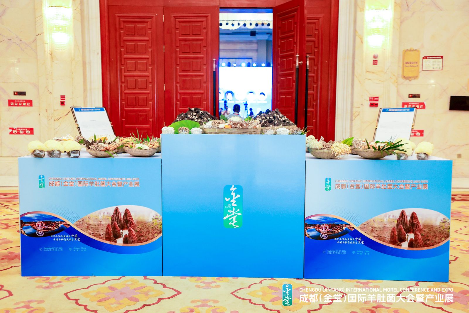 “2024羊肚菌人气菜品榜单”发布