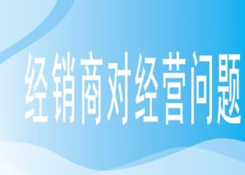 经销商对谋划问题和治理问题的划分