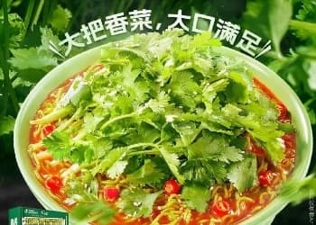 越来越“臭”的白象，在利便面市场逆天改命