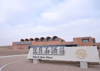 1.3 亿元！富邑首度收购中国酒庄，缘何落子宁夏望月石？