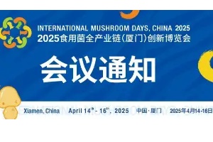 活下来卷出去2025食用菌全产业链（厦门）创新博览会