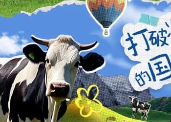 伊周盘点丨打破减肥“饿”梦的国家版食谱，拿去吧；不同人群如何科学选购牛奶？