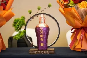 从河南走向世界屋脊 孙宁携手新宋河三战巅峰