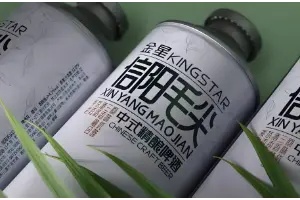 用好茶，酿好酒 |和金星共同开启信阳毛尖茶啤溯源之旅