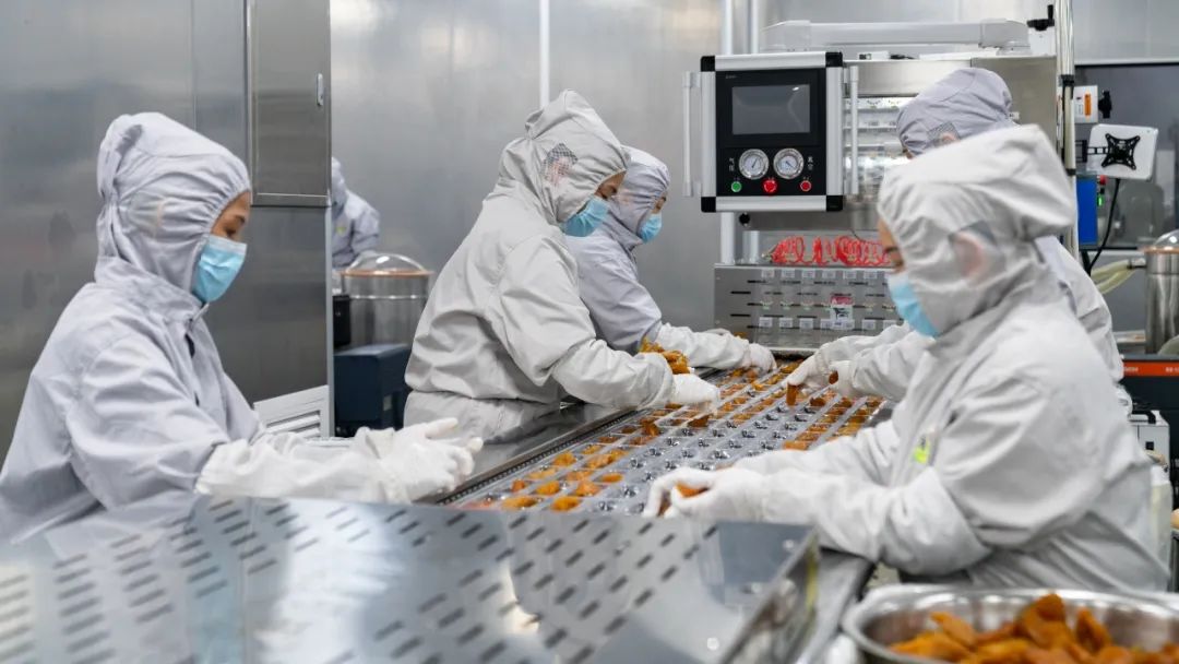 广大园获“倒蒸红薯干全国销量第一”，一张证书背后30年的功力！