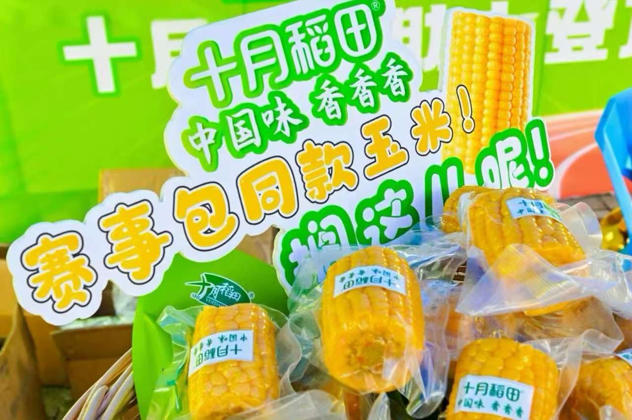 玉米“陪跑”马拉松,十月稻田引领健康新风尚
