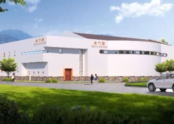 专访木兰朵创始人朱锋｜中国酒的成本迷思与破局之道：先考虑市场，后考虑成本