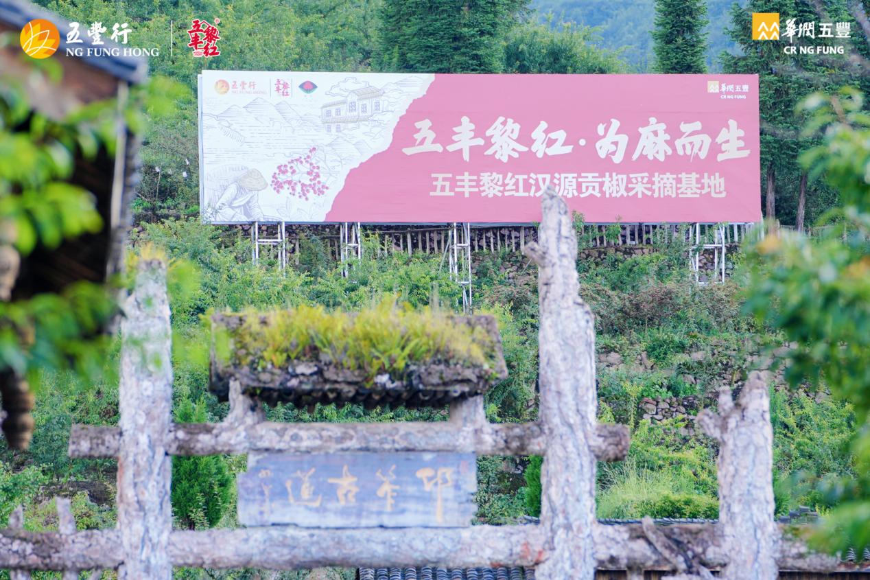 风华再启,与五丰黎红共同感受贡椒的独特风味