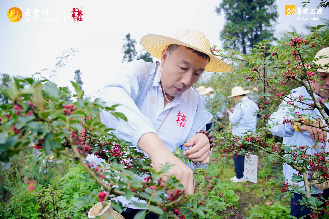 风华再启,与五丰黎红共同感受贡椒的独特风味