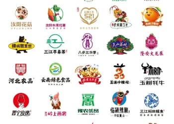 娄向鹏：什么是中国特色农业发展模式？