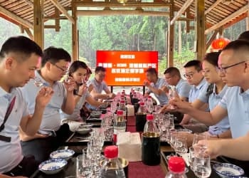 低度白酒：别再盯着“高风味”了