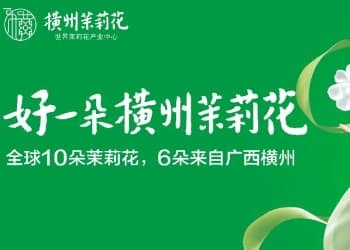 横州茉莉花产业融合入选首批国家级试点！