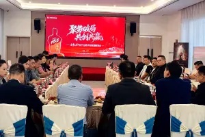 丹泉168南宁运营平台筹建座谈会在南宁成功举办