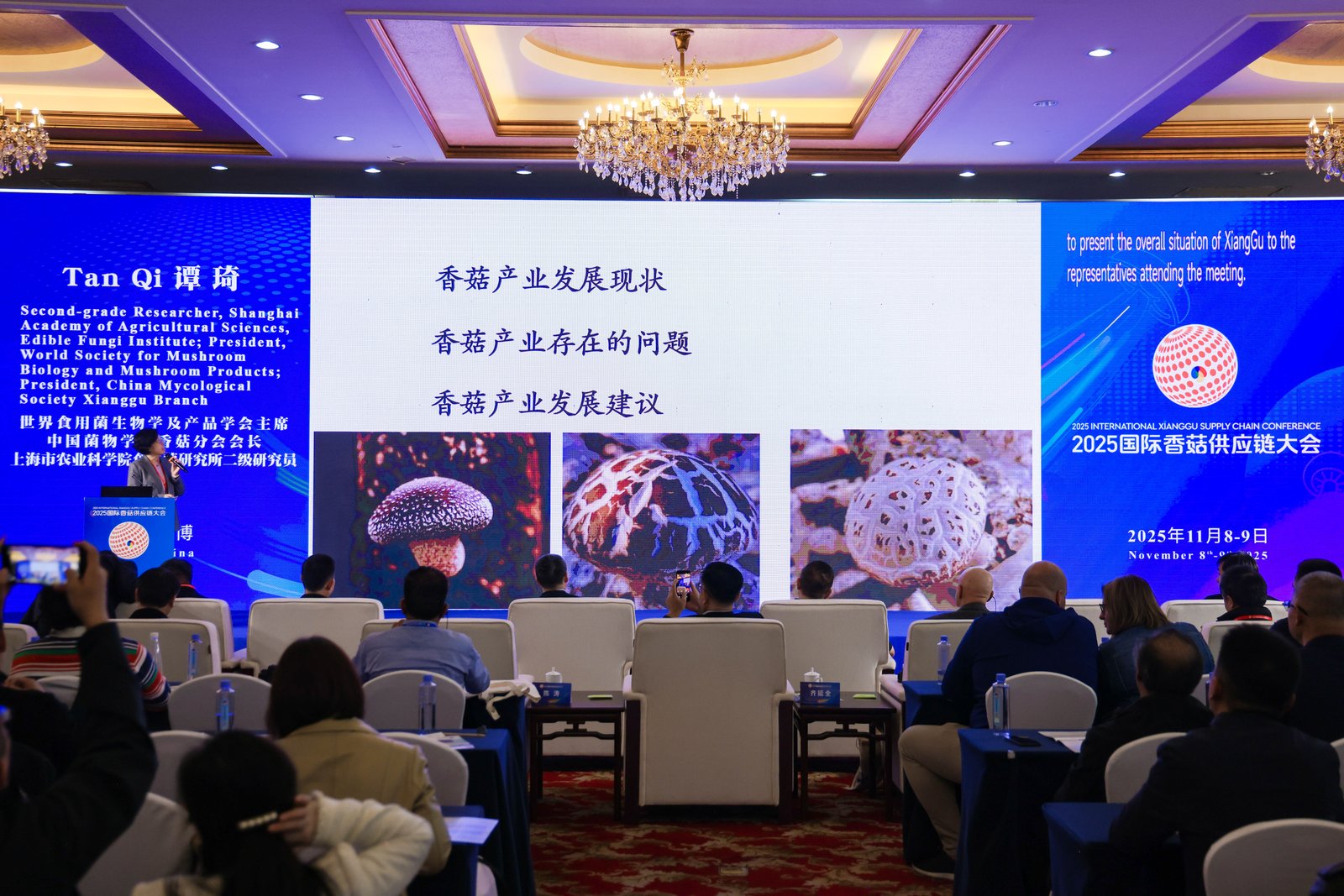 七河,以菇为媒,连接全球:2025国际香菇供应链大会在山东淄博隆重开幕