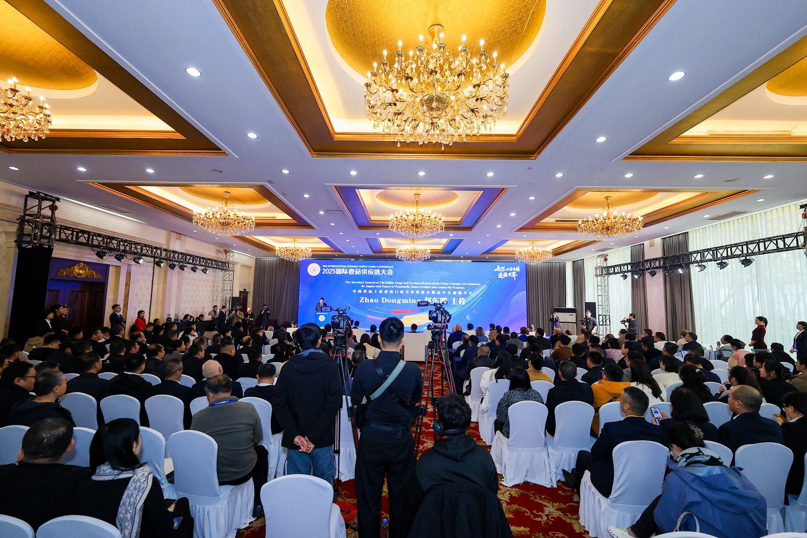 七河,以菇为媒,连接全球:2025国际香菇供应链大会在山东淄博隆重开幕