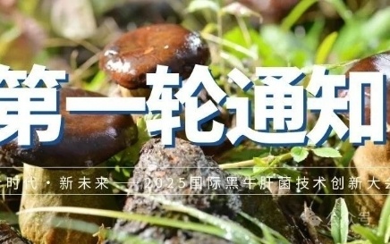 2025国际黑牛肝菌技术创新大会时间已定