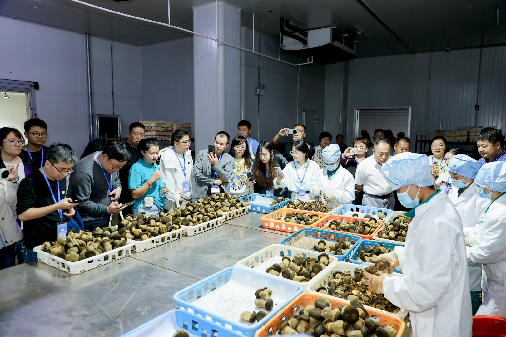 新时代·新未来——2025国际黑牛肝菌技术创新大会顺利开幕