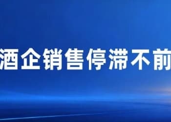 酒企研究系列⑪｜宋河：曾经的“河南酒王”如何再次复兴