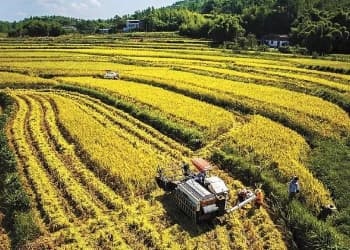 农业农村部部长韩俊发文！提升农业综合生产能力和质量效益