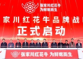 张家川红花牛：以品牌之力撬动百亿级产业崛起