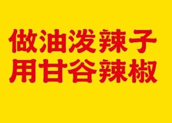 贾枭解读甘谷辣椒区域公用品牌升级战略