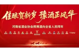 凝聚豫酒合力，13家豫酒集体亮相郑州核心商圈