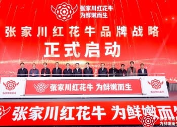 致敬张家川红花牛，一头牛的长征，一座城的答卷！
