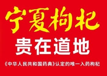 品牌灵魂：始终忠实于人心的品牌方法论