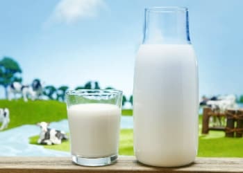 蒙牛、优然、现代牧业、飞鹤等16家上市乳企发布2025年年报……