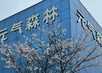 下一个十亿爆品竟然是它？从元气森林新品看2026饮料三大趋势