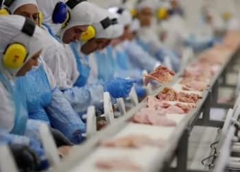 巴西首次向中国出口DDGS和禽肉粉 中国进口鸡肉近6万吨 增长11.6%