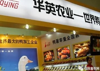 “世界鸭王”实控人再变更
