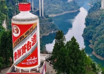 一份注定载入白酒史册的年报，茅台年报惊雷，上市25年首现双降