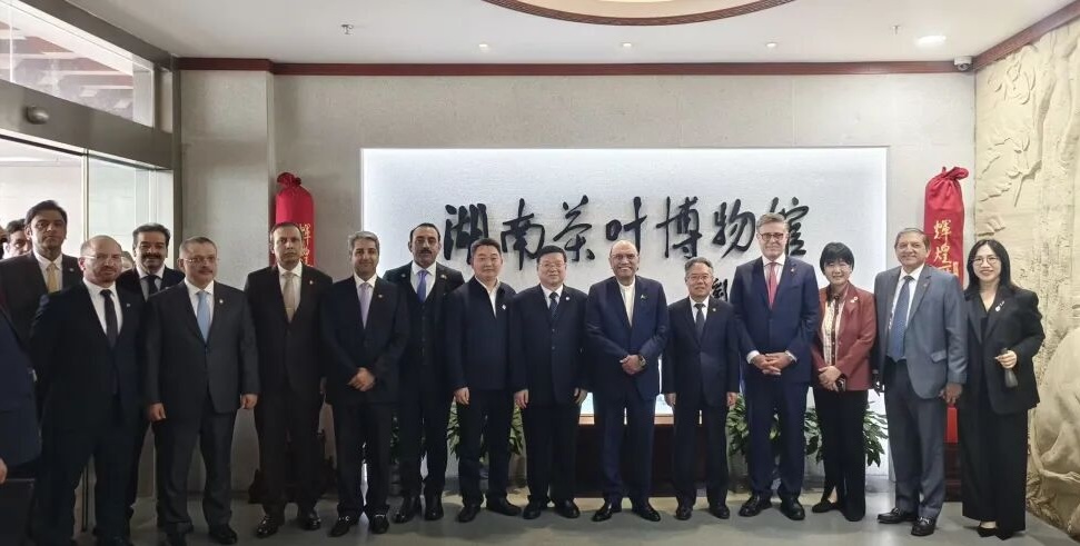 微信图片_20260428093838_133_2.jpg