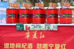 战略牵手银川马拉松，宁夏红打通健康营销新赛道！