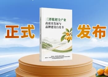 千年三潭韵，万亩枇杷鲜 | 白皮书落地歙县，三潭枇杷焕新出圈