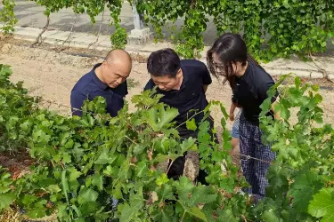 中南林科大食品学院赋能新疆特色林果、葡萄酒产业发展