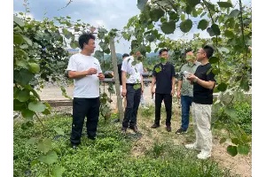 大农记赴邛崃南宝山镇考察交流：从高山生态到餐桌溯源，村企携手共绘产业振兴新图景