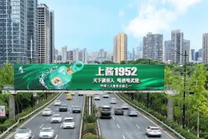 一瓶湘酒的突围，武陵酒凭啥喊出 “天下湖南人喝酒喝武陵”
