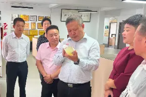 深调研摸实情，新化县政协专题调研赋能水酒产业高质量发展