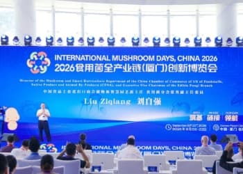 把三天的展会，变成全年运转的产业服务
