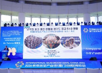 韩国香菇菌棒96%靠中国进口，何泰文厦门讲韩国香菇产业现状与趋势