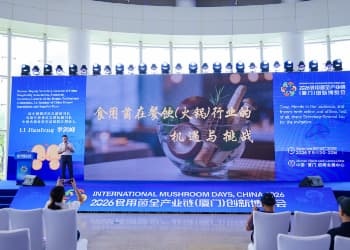鱼火锅增速114%、漂亮饭播放116亿次，李剑峰厦门拆解食用菌的火锅机遇