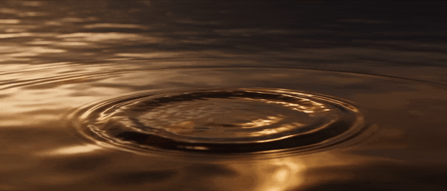 ezgif-2ccc8f5e98fb4cd9.gif