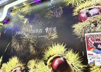 老牌炒货，进军新鲜零食