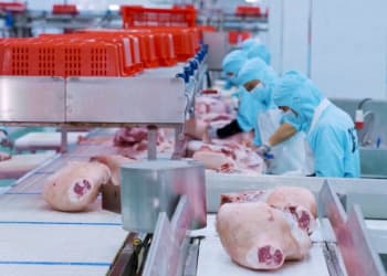从“养得好”到“好食材”：这场即将召开的大会，藏着生猪产业的下一个十年