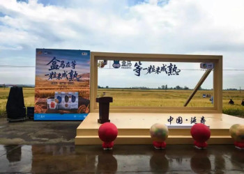 中粮×盒马，要革“高价大米”的命