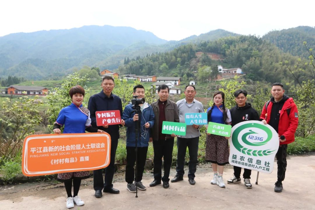 茶香不怕巷子深,福寿山茶农有福啦!